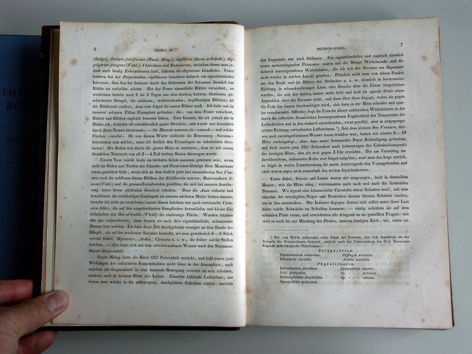 ZZ-RISC48,S.006 Diverse Vögel